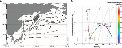 Vertical Profiles of 226Ra and 228Ra Activity Concentrations in the Western Subarctic Gyre of the Pacific Ocean